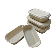 Recipiente para comida de bagaço